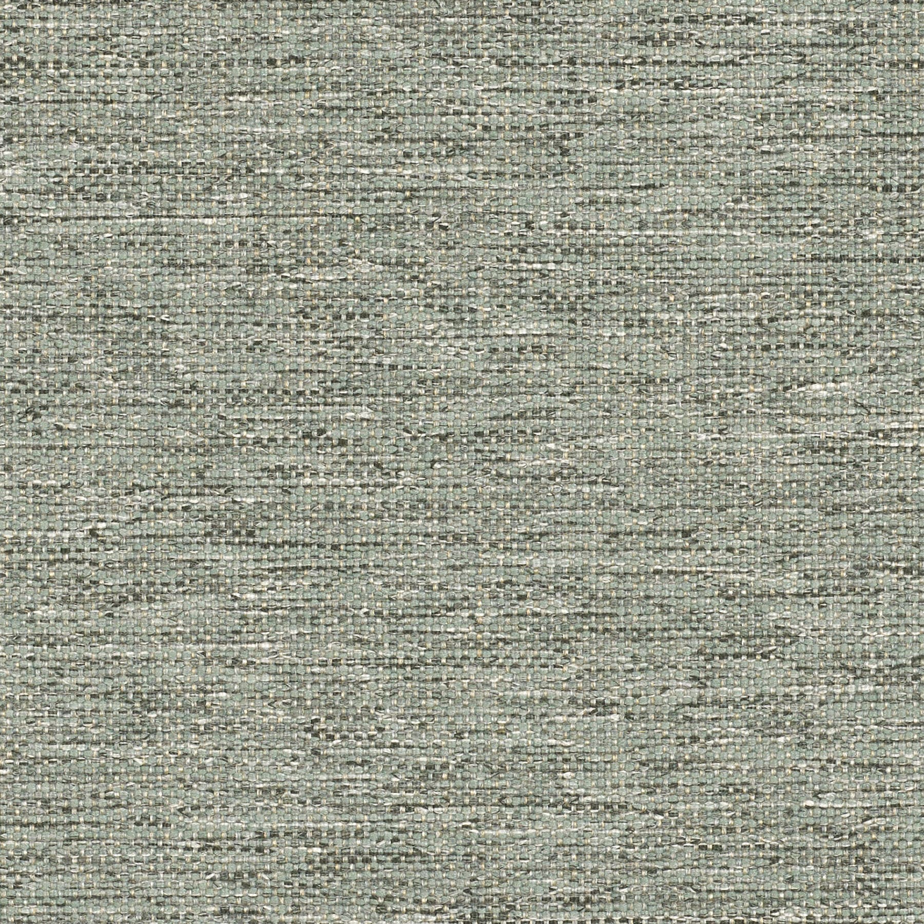 Eucalyptus